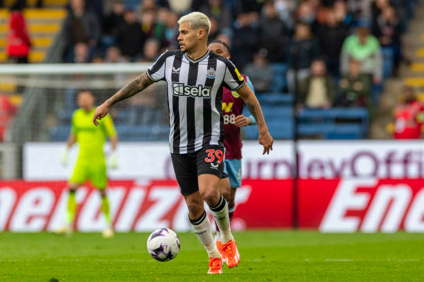 的生命影响 的生命影响