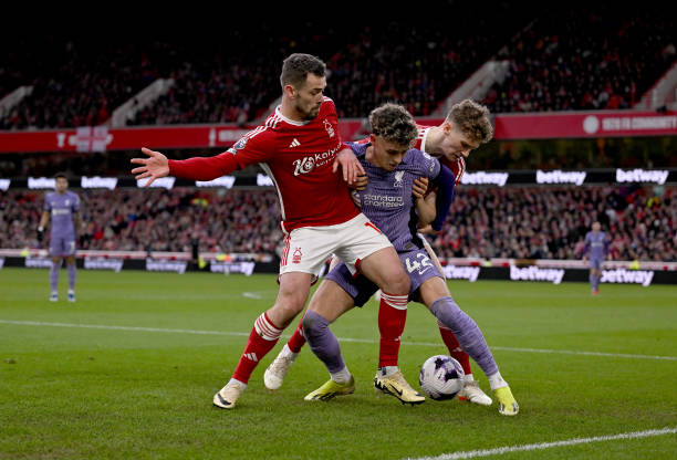 近年来在斯 近年来在斯